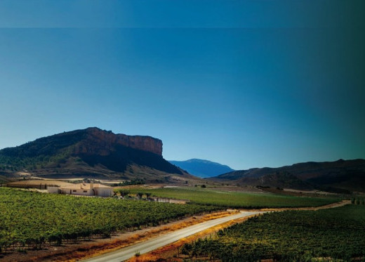 Bodega El Nido, Winzer aus Jumilla